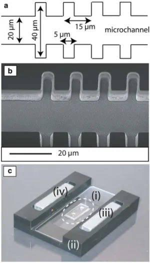 Figure 1c shows a picture of the microchip (i) on its holder used during the experiments, where it is placed at the center of a poly-oxymethylene support (ii), and flanked by two permanent magnets (iii and iv) for the generation of the permanent homogeneou