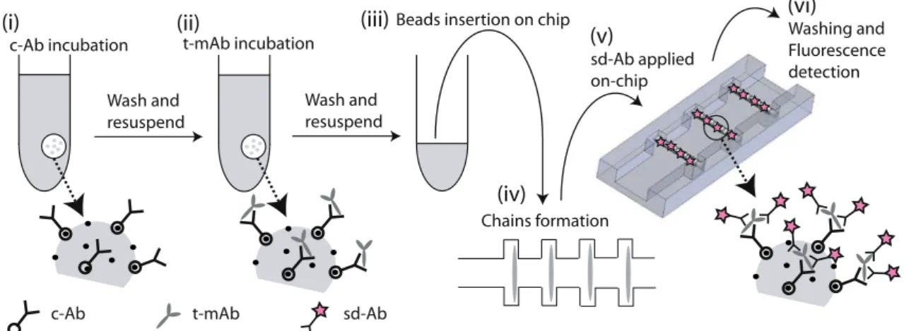 Fig. 3 Illustration of the ‘off-chip incubation–on-chip detection’