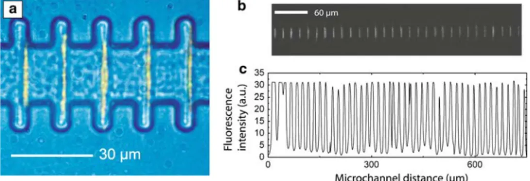 Figure 5a shows an optical microscopy image of the self-assembled magnetic chains in the microchannel after off-chip c-Ab and t-mAb incubation