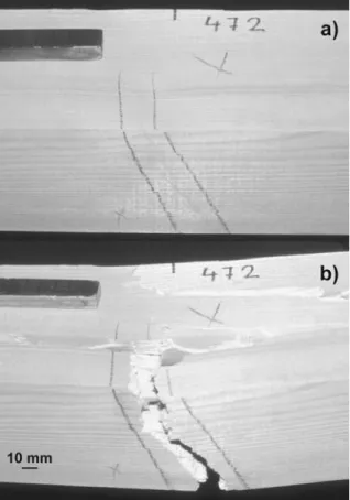Fig. 1 A wind-induced compression failure in a squared timber beam before (a) and after (b) a destructive bending test