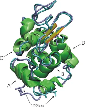 Fig. 1 Overlay of the hen egg-white lysozyme crystal structure and the structure obtained after 5 ns of simulation