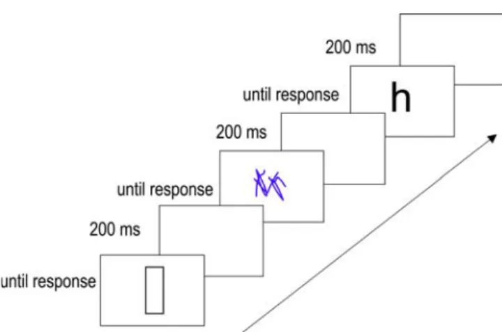 Fig. 1 Example of procedure and stimuli