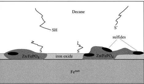 Figure 8. Model of the triboﬁlm: a mixed iron/zinc phosphate ﬁlm is formed on the surface