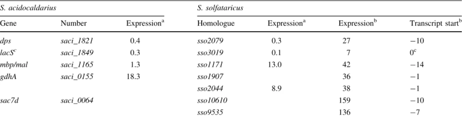 Table 3 Transcript abundance and transcript start points