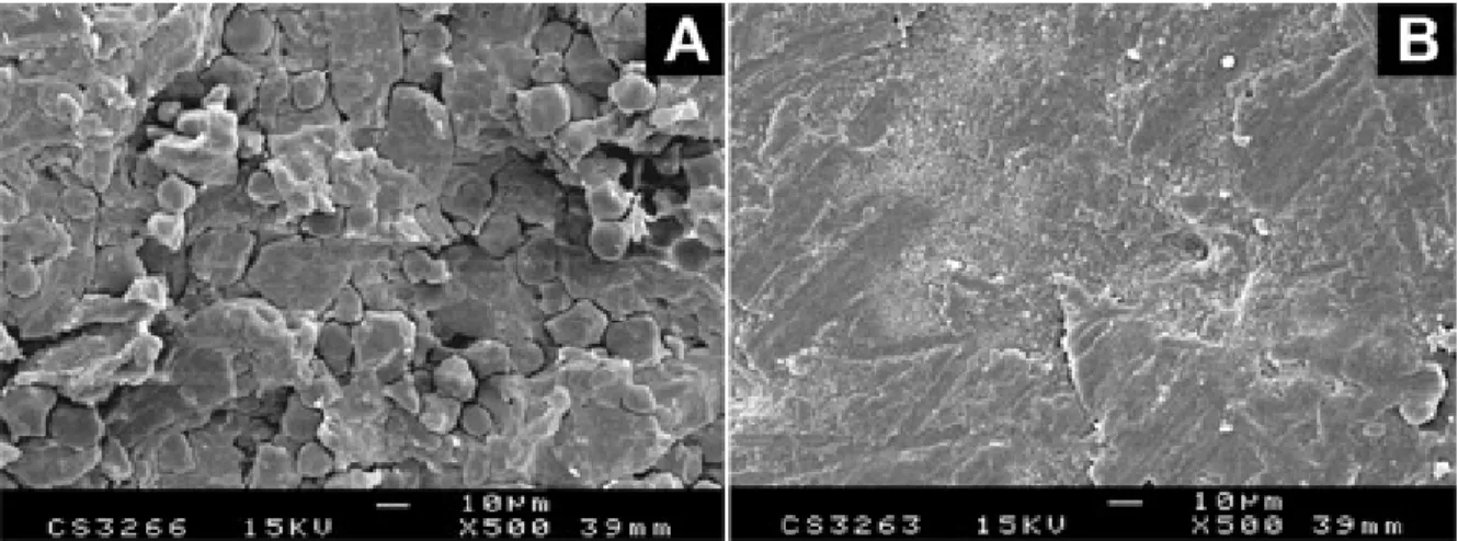 Figure 2. Surface of an uncoated tablet (A) and of a final tablet coated with a Eudragit E pseudolatex (B).
