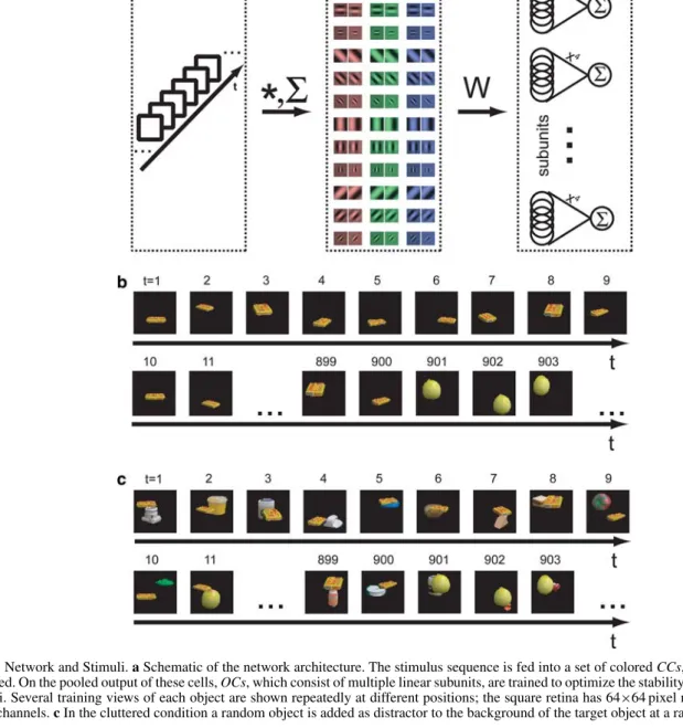 Fig. 1 Network and Stimuli. a Schematic of the network architecture. The stimulus sequence is fed into a set of colored CCs, whose properties are fixed