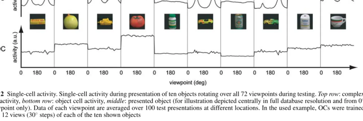 Fig. 2 Single-cell activity. Single-cell activity during presentation of ten objects rotating over all 72 viewpoints during testing