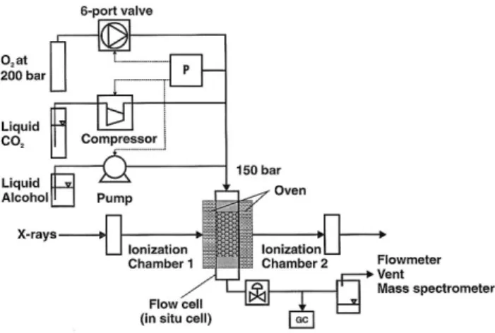 Figure 1. Flow scheme for the in situ continuous-ﬂow XAS cell to combine structural analysis by XAS and catalytic activity by GC; more details in the text.