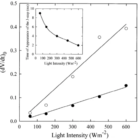 Figure 7. The effect of different intensities of excitation light on the initial slope of the relative variable Chl a fluorescence, approximated as (dV/dt) 0 = (F 300µs − F 50µs )/(F M − F 0 )