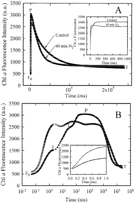 Figure 1. The Chl a fluorescence transients of pea leaves that were either kept in the air in the dark ( ), or incubated for 60 min in N 2 gas in the dark ( # )