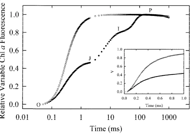 Figure 5. The rise kinetic of the relative variable Chl a fluorescence V t = (F t − F 0 )/(F M − F 0 ) in control ( ) and DCMU treated pea leaves ( # )
