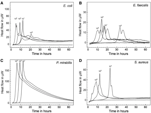 Fig. 1 Representative heat flow curves of urinary tract pathogens in artificial urine
