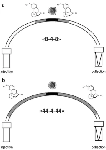 Fig. 1 a 8-4-8 and b 44-4-44 injection setups used for in-capillary CYP450 assays. Configurations refer to percentage of capillary length of substrate and enzyme plugs injected in the sandwich mode into the capillary