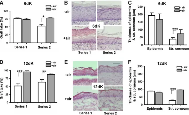 Fig. 5 Effect of air–liquid interface cultivation of DESS on graft take and stratification in vivo