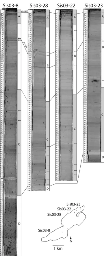 Fig. 4. Composite core pictures of Sis03-8, 22, 23 and 28 with indicated sedi- sedi-mentary units