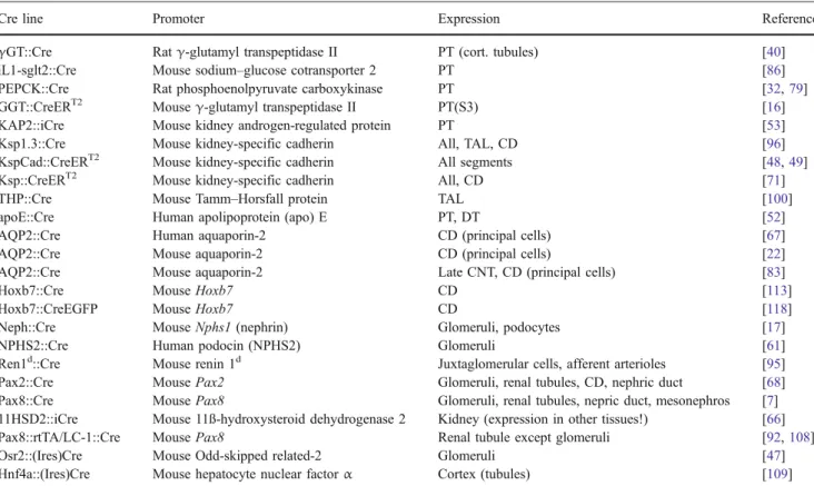 Table 2 A survey of Cre transgenic mouse strains targeting the kidney and specific nephron segments