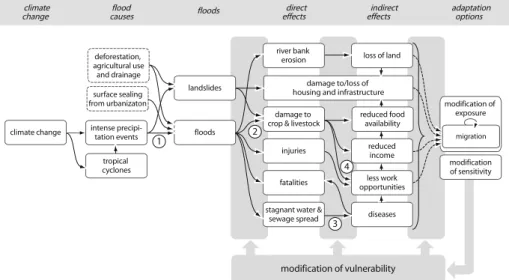 Fig. 2 Conceptual model of the influence of climate change on migration through flooding