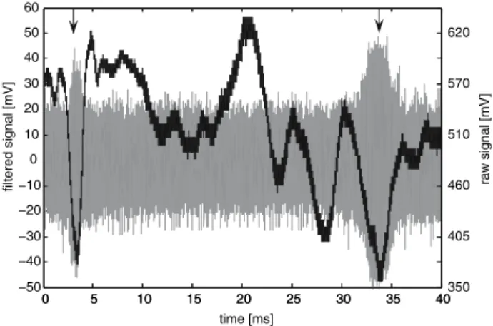 Fig. 4 Particle passages: raw signal (black) and bandpass filtered signal (gray). The arrows indicate particle passage events (Please note: The raw signal is first bandpass filtered and then amplified, thus both signal values are not directly comparable