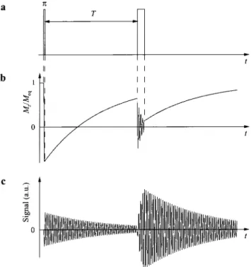 Fig. 1. The IR-LOD T, experiment. a Pulse sequence consisting of an inverting  it  pulse followed by a free evolution period of time T during which the magnetization relaxes towards the Boltzmann equilibrium