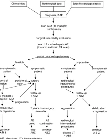 Fig. 3 Decision-maker tree for the current management of alveolar echinococcosis of the liver