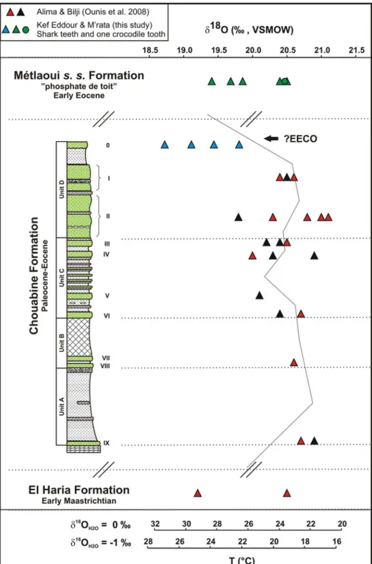 Fig. 5 Oxygen isotope compositions of shark teeth (green and blue triangles) and crocodile tooth (green circle) from layer 0 of the Chouabine Formation and from the Me´tlaoui s.s