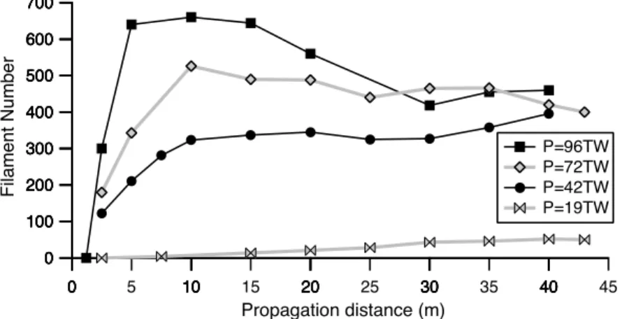 Figure 1 displays typical multifilamentation patterns at prop- prop-agation distances up to z = 40 m
