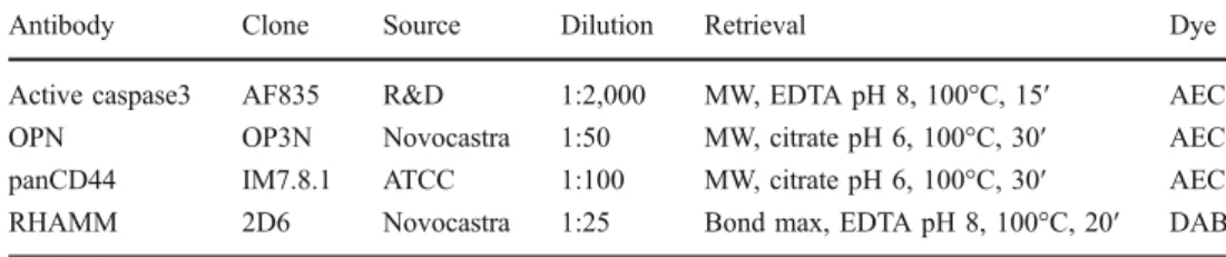 Table 2 Applied antibodies and staining conditions
