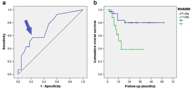 Fig. 3 Prognostic significance of RHAMM in AML with respect to treatment responses. Kaplan–Meier overall survival curves in AML patients achieving (a) and failing to achieve complete remission (b) with respect to the expression of RHAMM; p=0.391 for (a);