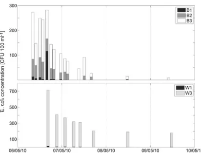Fig. 6 Temporal develop- develop-ment of E. coli  concentra-tions in groundwater during the sampling period in May 2010 (6th – 9th)