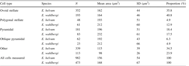 Table 2 Total number of neurons in MEA layer II