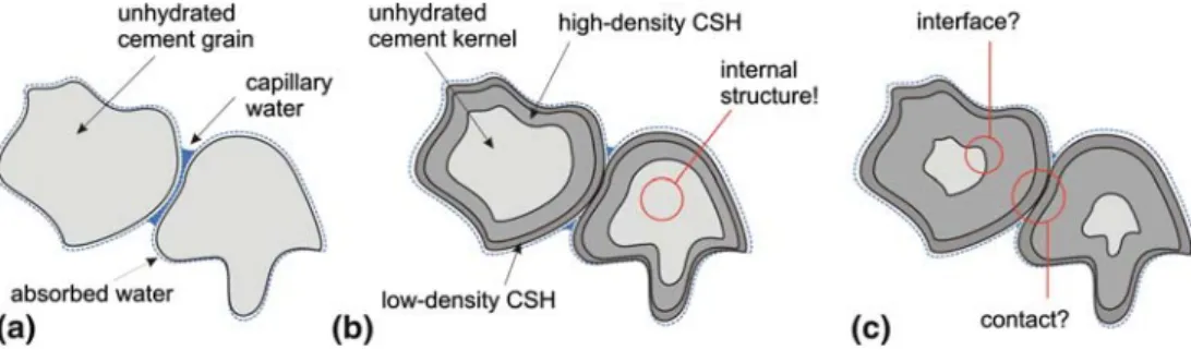 Fig. 10 Schematic hydration process between two cement grains, showing the gradually diminishing un-hydrated  ker-nels and the slowly increasing LD- and HD-CSH shells around those kernels