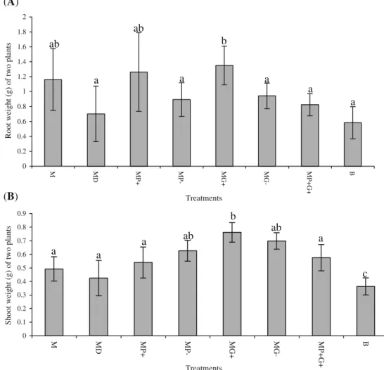 Fig. 3 The effect of different antibiotic metabolite-producing bacteria on the growth of mycorrhizal green gram plants grown for 13 weeks in root hyphal compartment