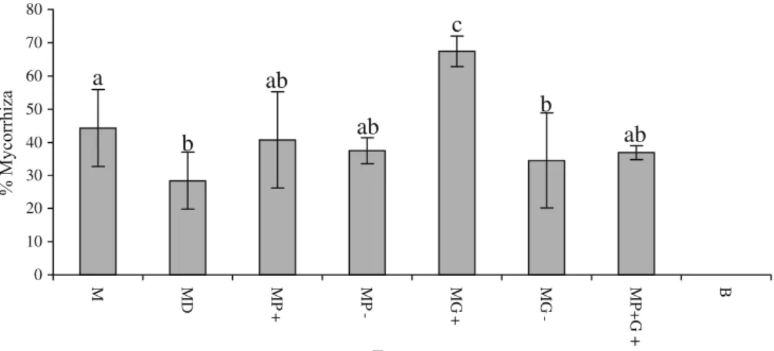 Fig. 4 The percent mycorrhizal colonization of green gram roots grown for 13 weeks in a root hyphal compartment