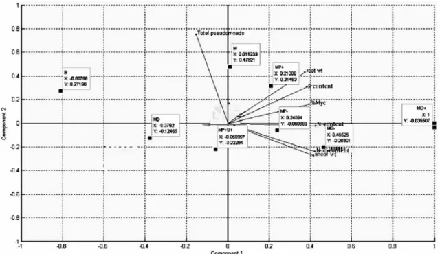 Fig. 7 Principal component analysis (correlation scaling) of all of the samples. It was performed using Matlab 7.0.1