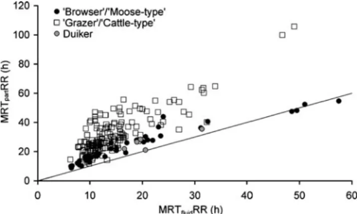 Fig. 4 Relationship between the selectivity factor (SF; ratio of the mean retention time of particles in the reticulorumen (RR) to that of fluids—a physiological indicator of RR contents stratification) and the intraruminal papillation pattern (an anatomic