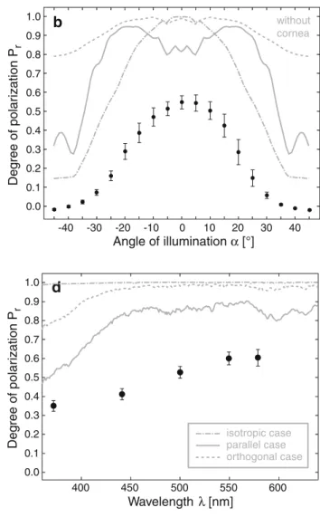 Fig. 5 Intensity and polarization of light reflected by the tapetum of the postero-median eyes of D