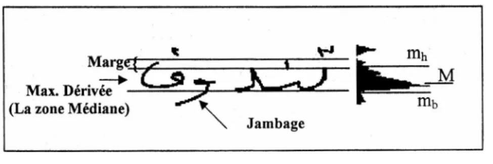 Figure III.5.Les différentes zones d'écriture 