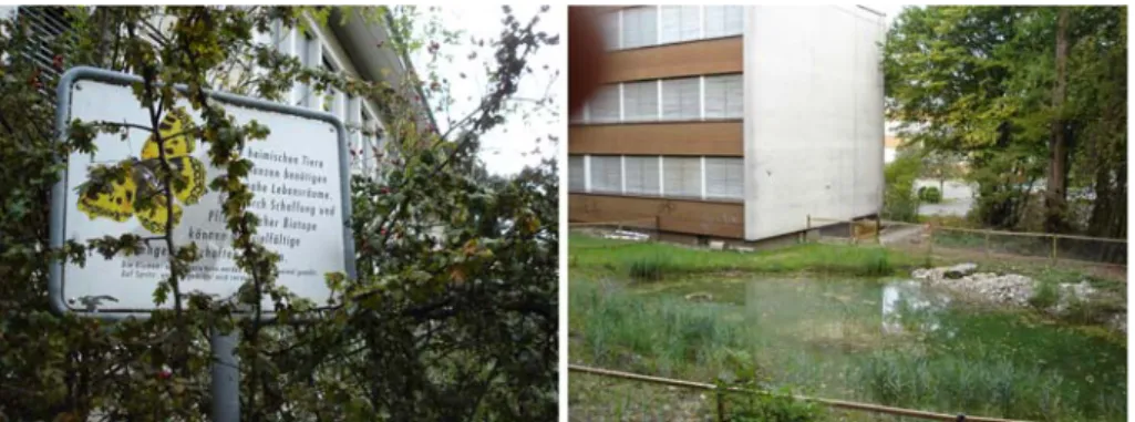 Fig. 2 The schools were sensitive to environmental issues. Left: A hedge of local plants in front of a school, marked by an explaining table