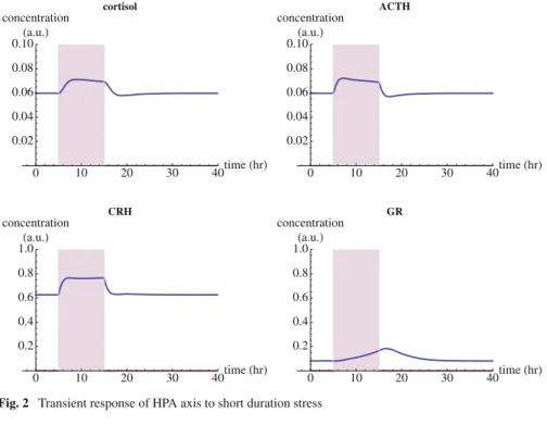 Fig. 2 Transient response of HPA axis to short duration stress