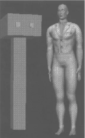 Fig.  2.  Our  'blocky'  Mister  f  and  Peter, one  of  our  complex models. 