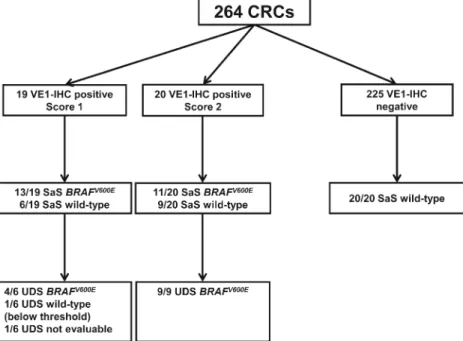 Fig. 3 Flow chart of immunohistochemistry (IHC), Sanger sequencing (SaS), and ultra-deep sequencing (UDS) on test cohort