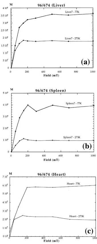 Table 1. Weight in grams, saturation remanent magne- magne-tization (Jr–measured at 77K) and calculated magnetite/