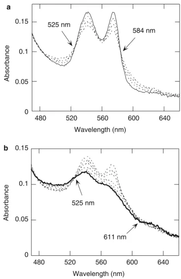 Fig. 2 Rapid-scan UV/vis spectra of the reaction of oxyLb (10.6 lM) with NO • (50 lM) in 0.1 M borate buﬀer pH 9.5, 20 C