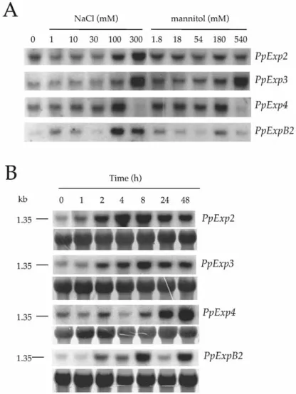 Figure 5. Response of PpExp transcript accumulation to salt and osmotic stress
