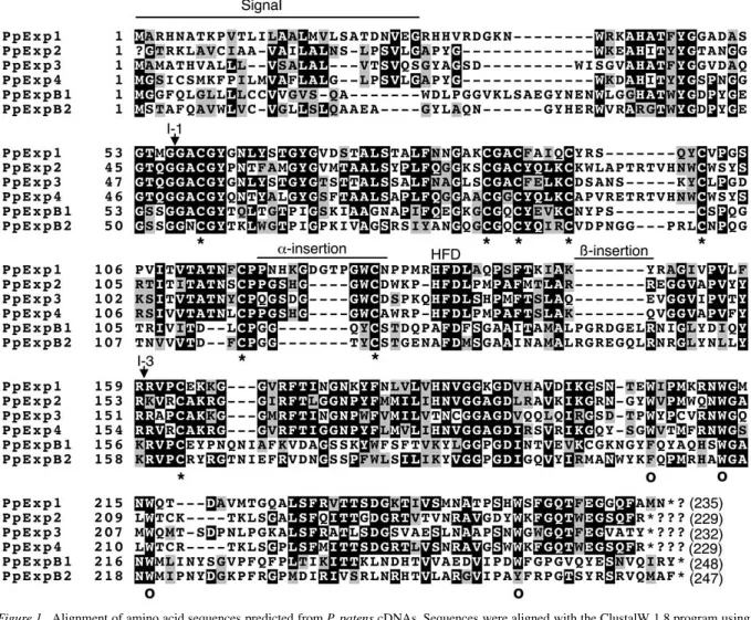 Figure 1. Alignment of amino acid sequences predicted from P. patens cDNAs. Sequences were aligned with the ClustalW 1.8 program using the PAM250 residue weight table and default parameters