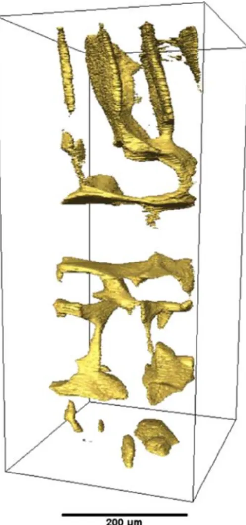 Figure 4 shows 8 three-dimensional (3-D) views of the microstructure from a subsection of the specimen shown in Figure 2, in a region where lateral overgrowth gave rise to the lamellar structure