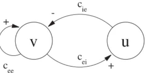Fig. 1. Scheme of connections of the excitatory-inhibitory macro- macro-scopic model (Eq