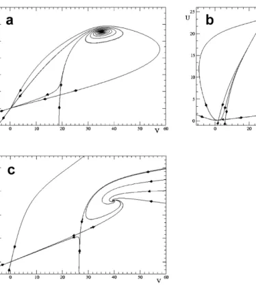 Fig. 6. The stable and unstable manifolds of the ﬁxed points of Eq. 2 for c ei ¼ 0:4 (cf