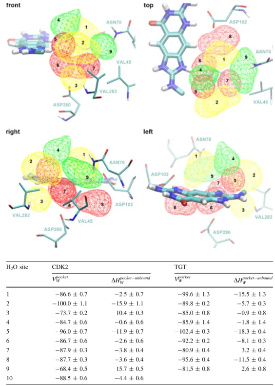 Fig. 6 Occupancy volume of the water sites in the binding pocket of tRNA-guanine transglycosylase (TGT) during the simulation of 4 ns length colored according to DG bind M 