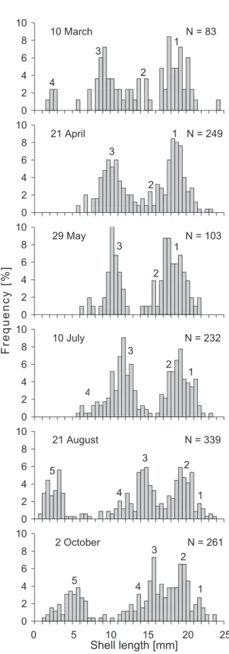 Figure 3.  Seasonal changes in the size distribution of Corbicula  fl uminea in the river Altrhein near Basel between 10 March and 2  October 2003